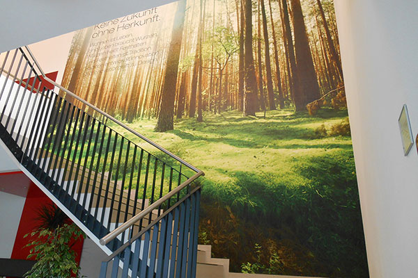 Mit Digitaldruck gestaltete Wand im Stiegenaufgang, Motiv: Wald