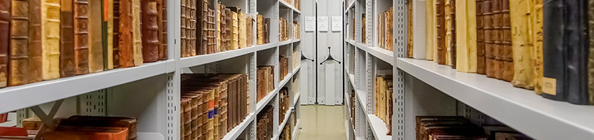 Regalsystem mit historischen Büchern